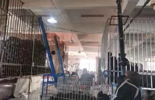 Organized Warehouse
